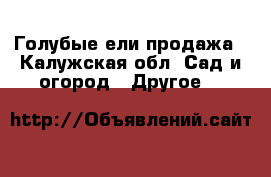 Голубые ели продажа - Калужская обл. Сад и огород » Другое   